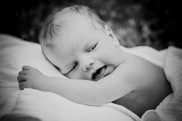 ashton 211