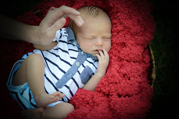 ashton 183