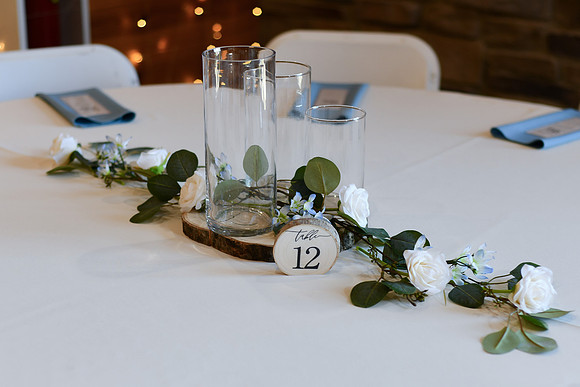 Piper & Eddie WD [reception] 041