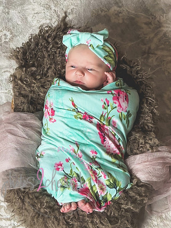 Amelia [newborn] images 129