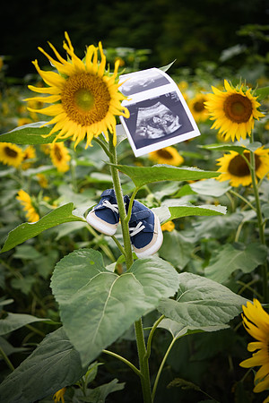 Baby H 191