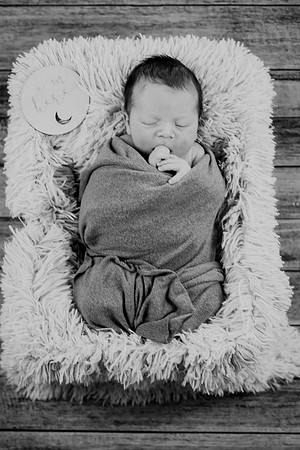 Baby Hart [peek] 05
