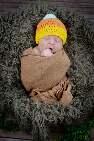 Baby Hart [peek] 26