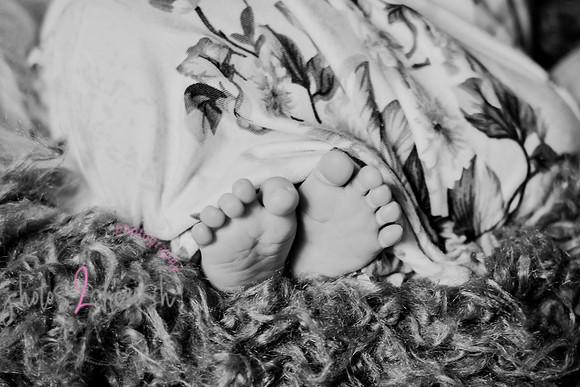 Amelia [newborn] images 100
