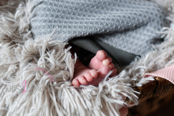 Amelia [newborn] images 007
