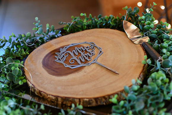 Piper & Eddie WD [reception] 028