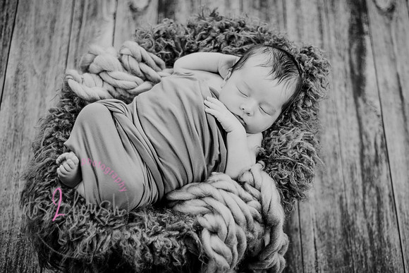 Anthony [newborn] 102