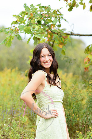 Kate [2025] proofs 077