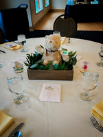 Baby Shower -229