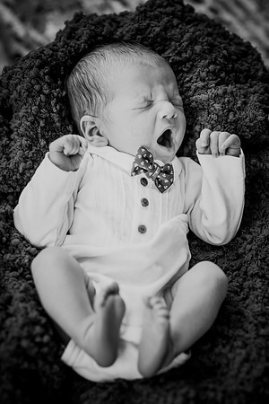 nolan [newborn] 046
