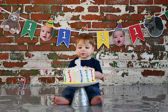 Logan 1st Birthday 108