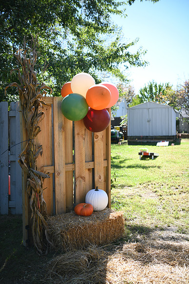 Hope & Teven reception 001