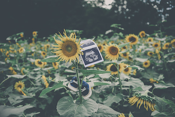 Baby H 194