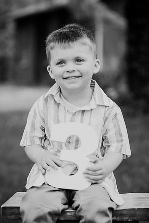 Coleson Turns Three 040