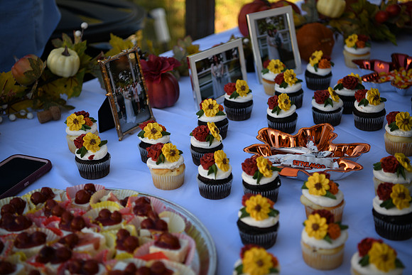 Hope & Teven reception 209