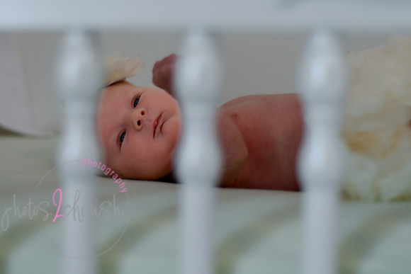 Amelia [newborn] images 140