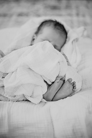 nolan [newborn] 075