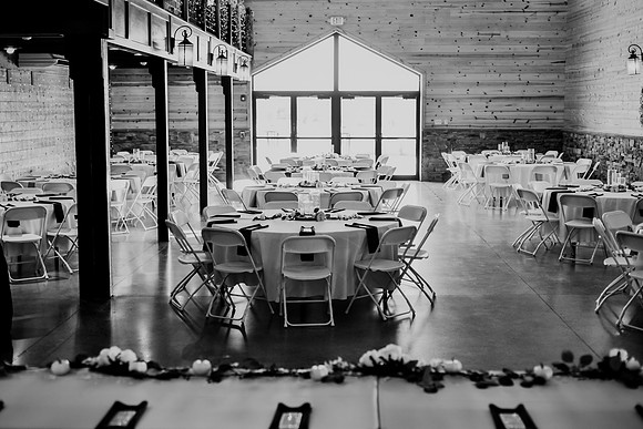 Piper & Eddie WD [reception] 044