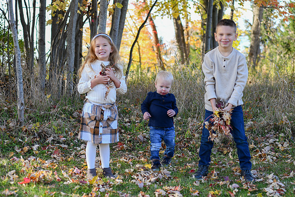 fiields 2024 family 260