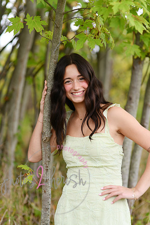 Kate [2025] proofs 060