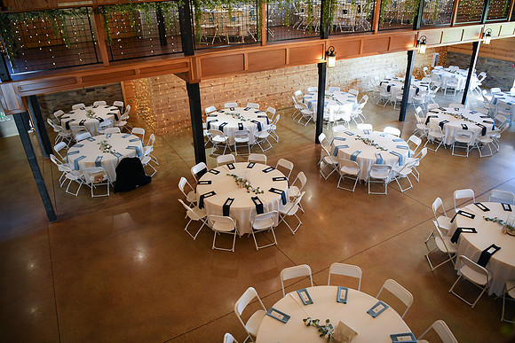 Piper & Eddie WD [reception] 075