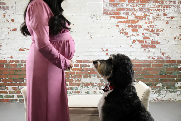 Namitha Maternity proofs 098
