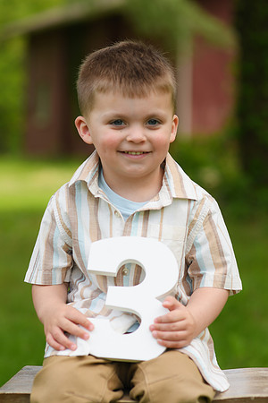 Coleson Turns Three 028