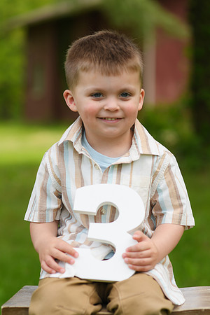 Coleson Turns Three 027