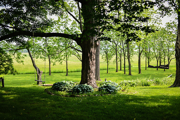 Carter & Marlah Wedding Photos [grounds] 040