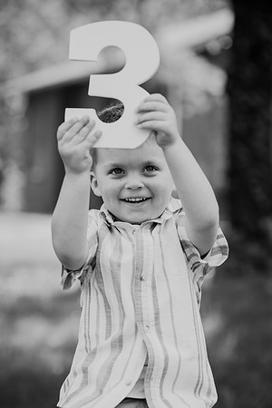 Coleson Turns Three 015