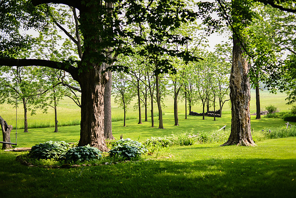 Carter & Marlah Wedding Photos [grounds] 042