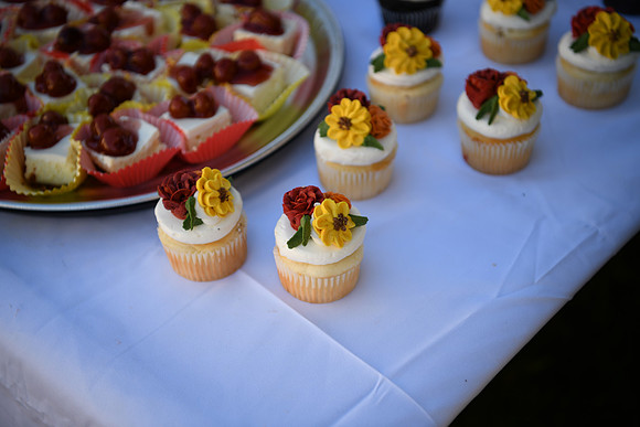 Hope & Teven reception 208