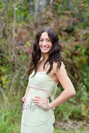 Kate [2025] proofs 113