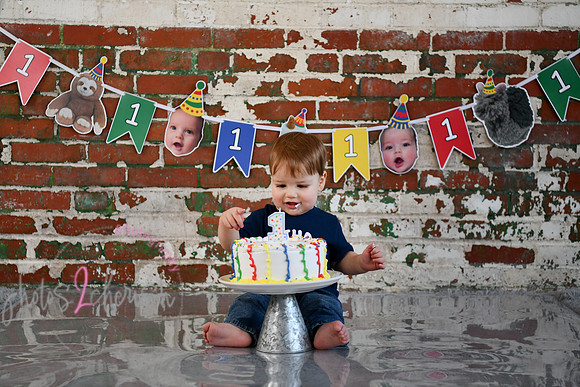 Logan 1st Birthday 099