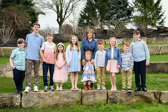 Brown Family proofs 343