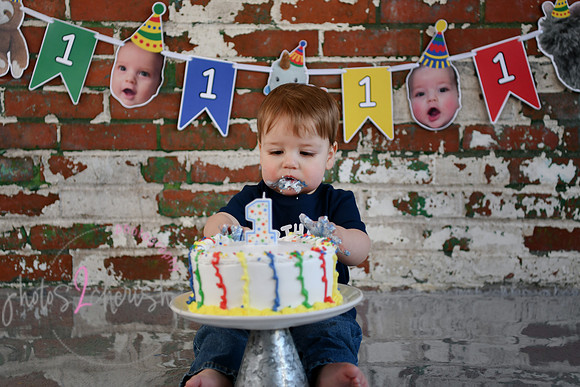 Logan 1st Birthday 150