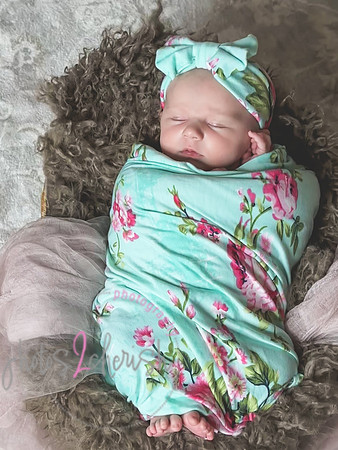 Amelia [newborn] images 125