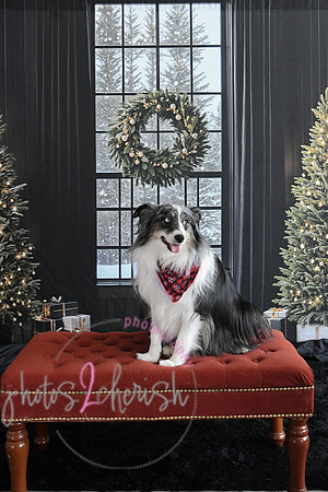 Holiday 2024 58