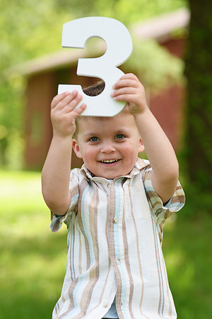 Coleson Turns Three 014
