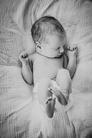 nolan [newborn]191