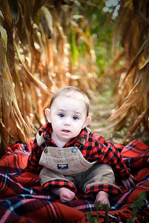 hudson [8 months] 010