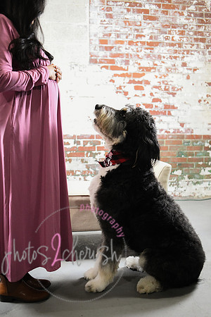 Maternity Session [peek] 34