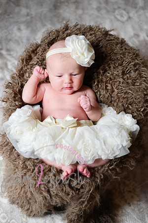 Amelia [newborn] images 061