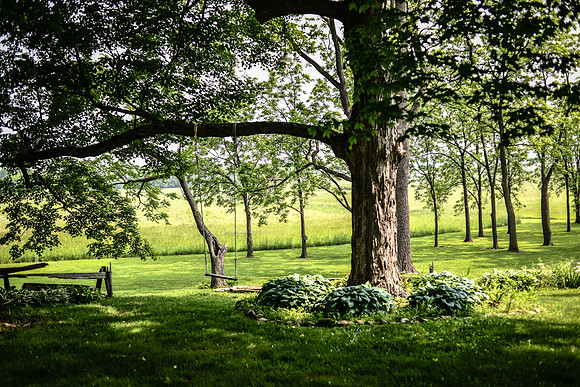 Carter & Marlah Wedding Photos [grounds fun edits] 171