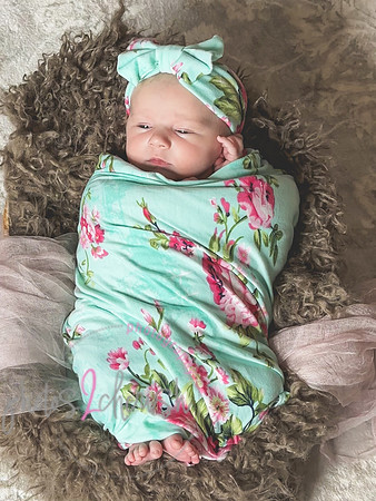 Amelia [newborn] images 124