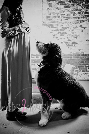 Maternity Session [peek] 33