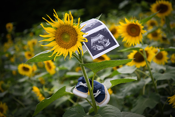 Baby H 197