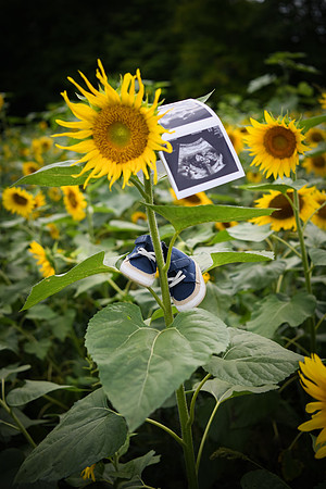 Baby H 201