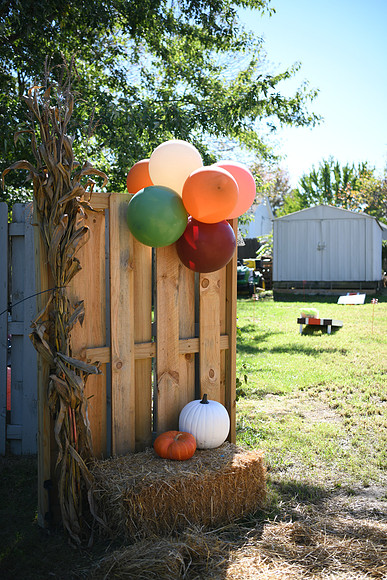 Hope & Teven reception 002