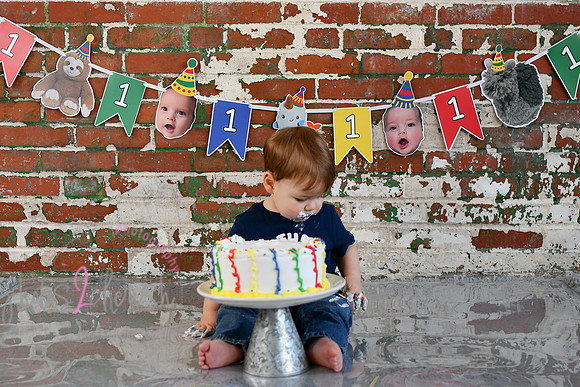 Logan 1st Birthday 200